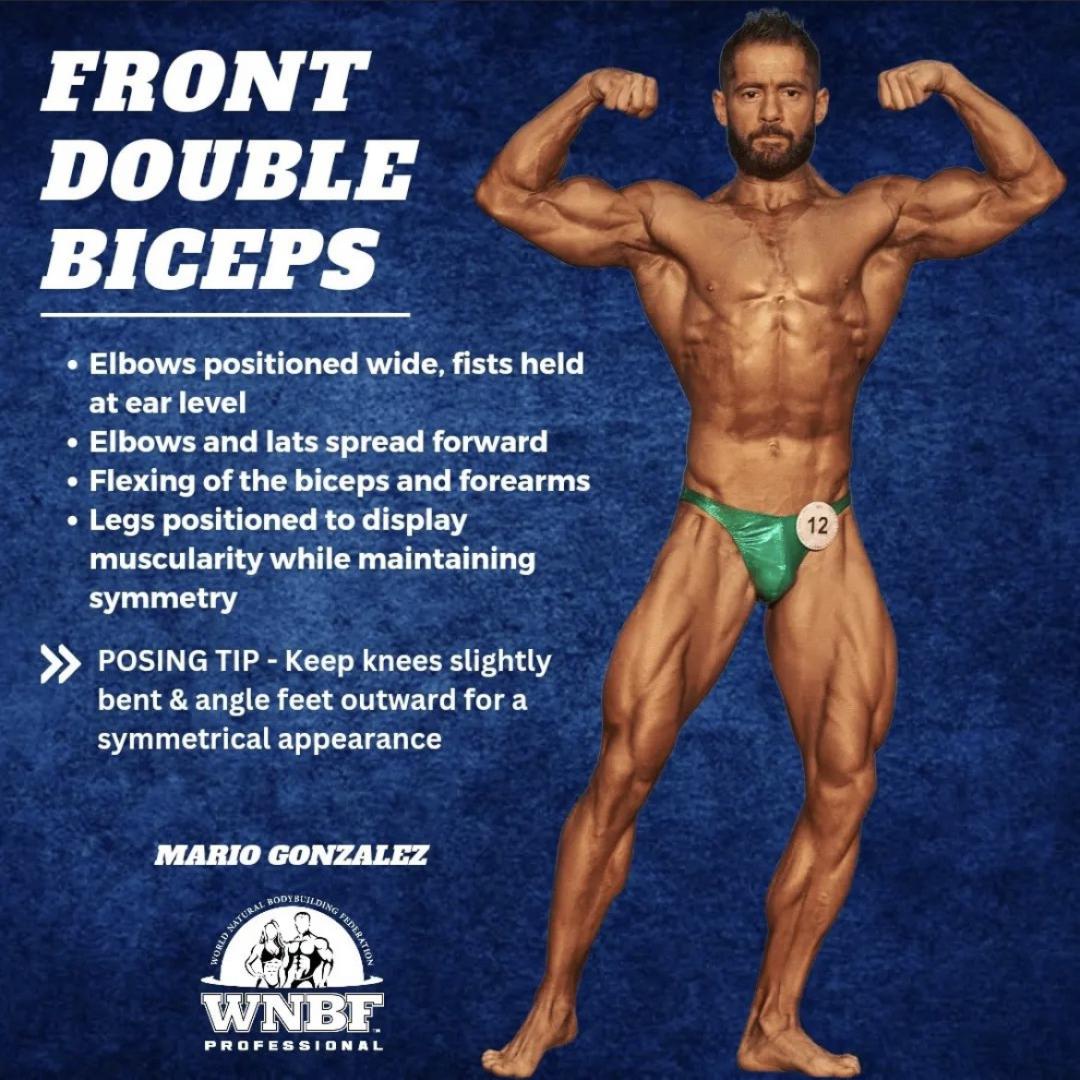 Front double biceps pose Royalty Free Vector Image